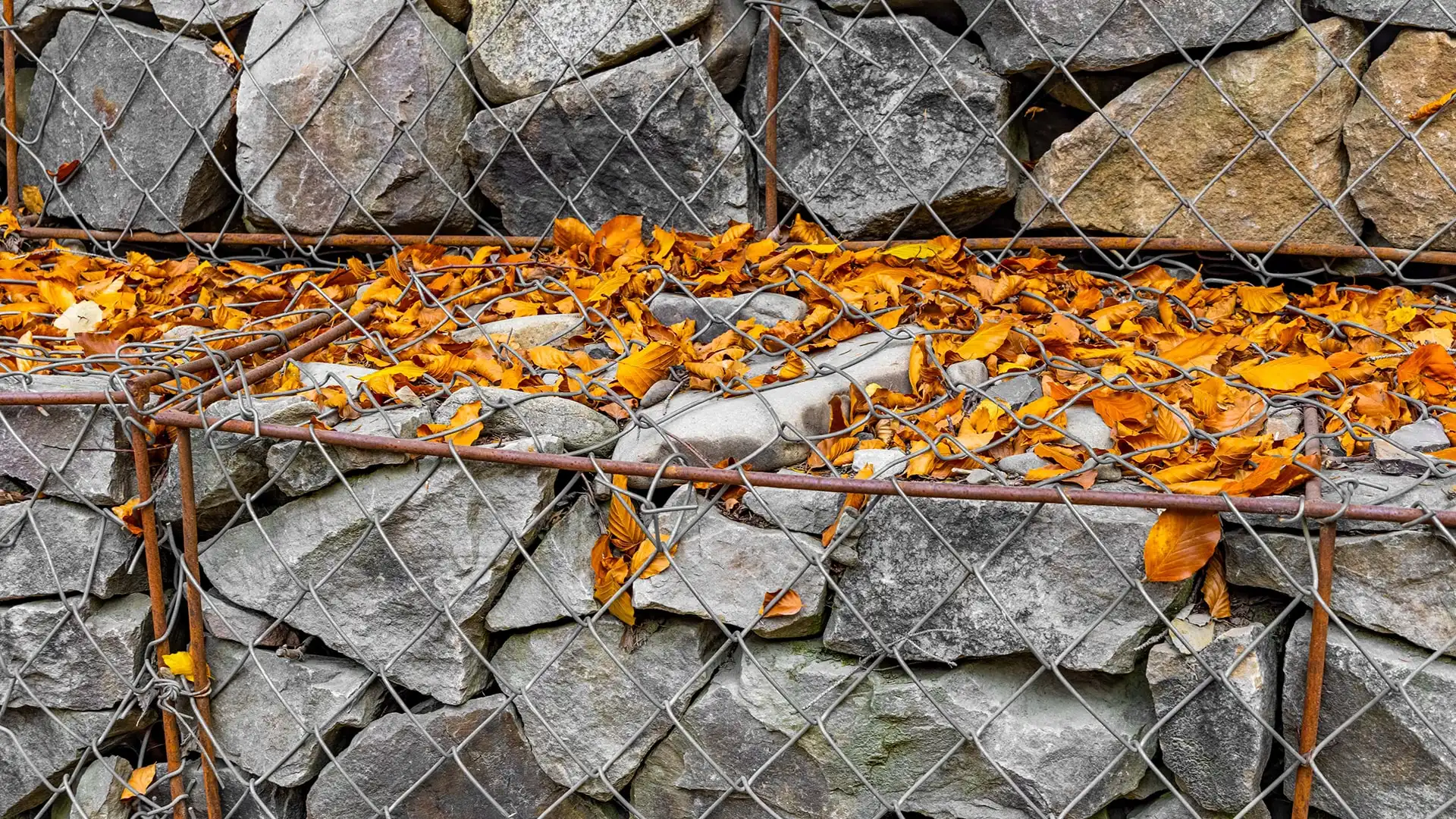 gabions_fence-near-the-road-covered-with-mesh-and-autumn-l-utc-min-min