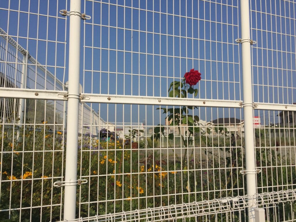 security fencing malaysia