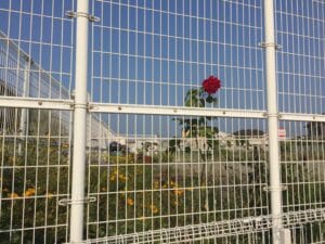 security fencing malaysia