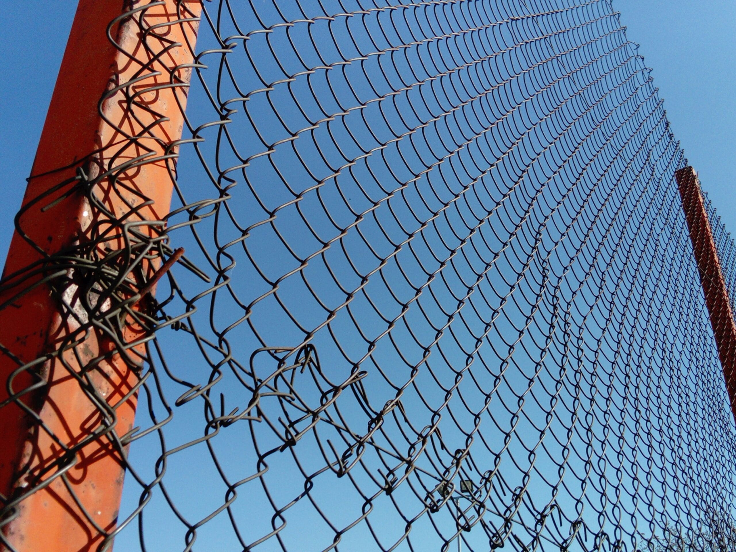 wire mesh netting