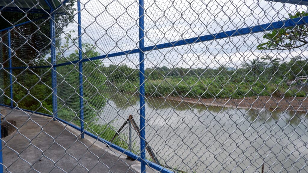 mesh panel fencing
