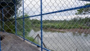 mesh panel fencing
